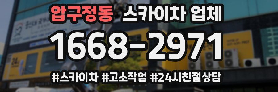 압구정동 스카이차 업체
