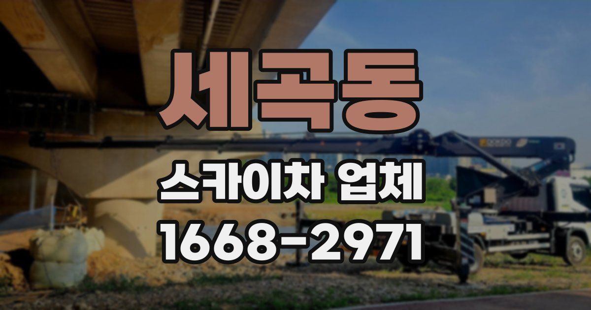세곡동 스카이차 업체