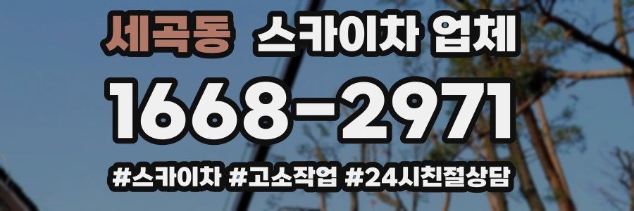 세곡동 스카이차 업체