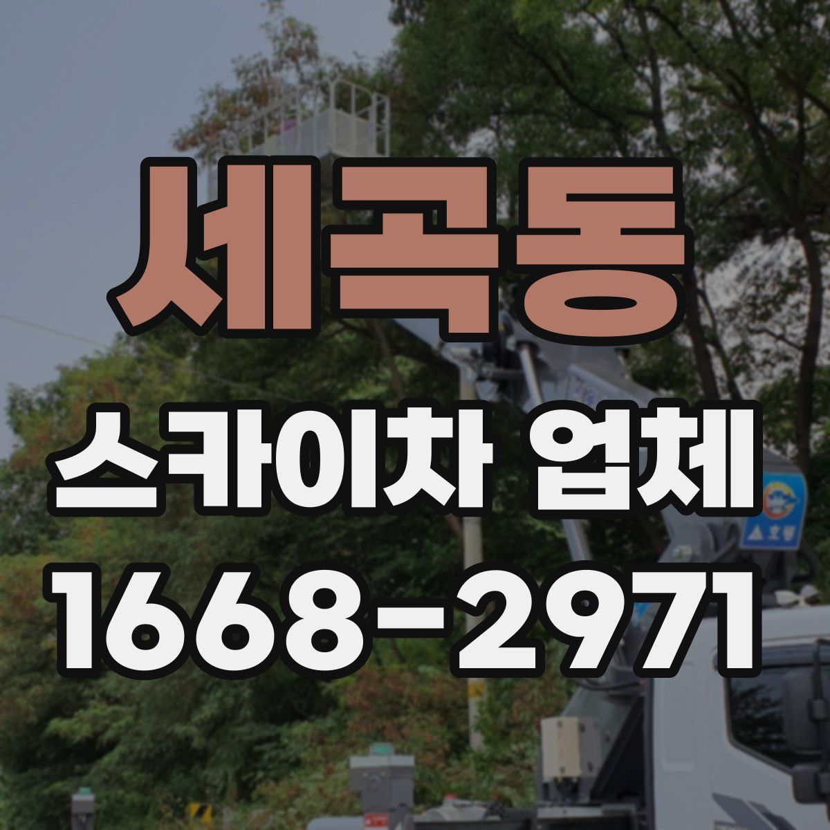세곡동 스카이차 업체