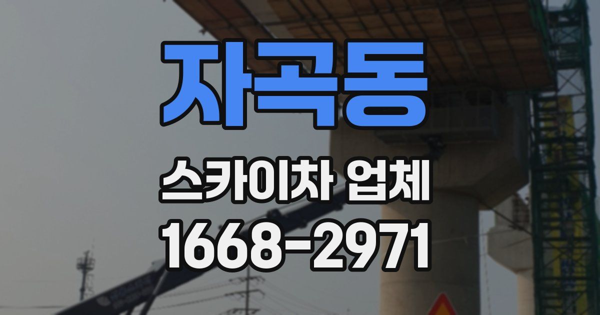 자곡동 스카이차 업체