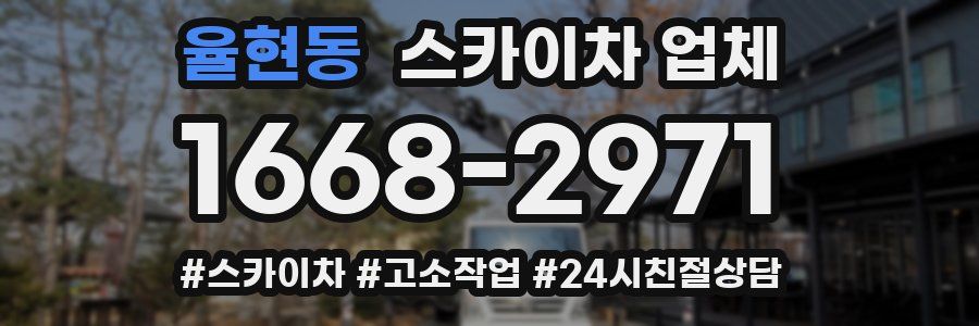 율현동 스카이차 업체