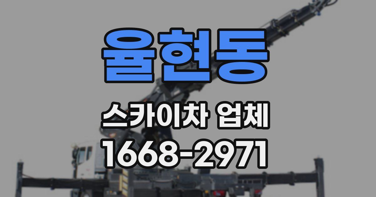 율현동 스카이차 업체