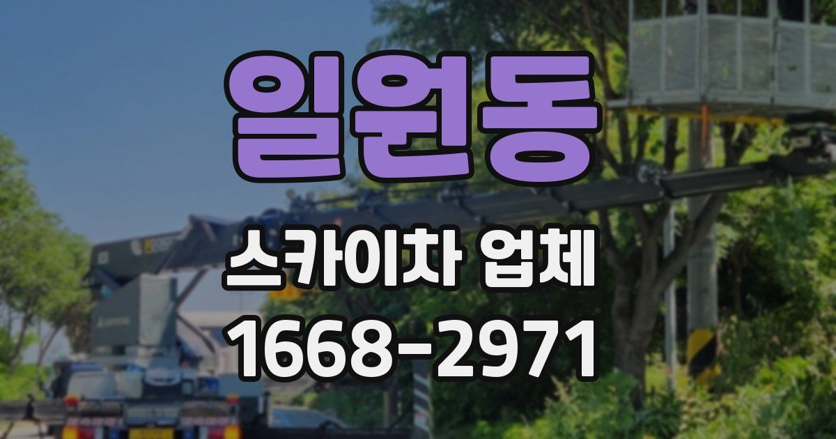 일원동 스카이차 업체
