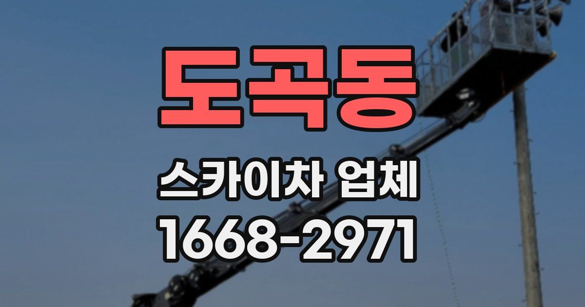 도곡동 스카이차 업체