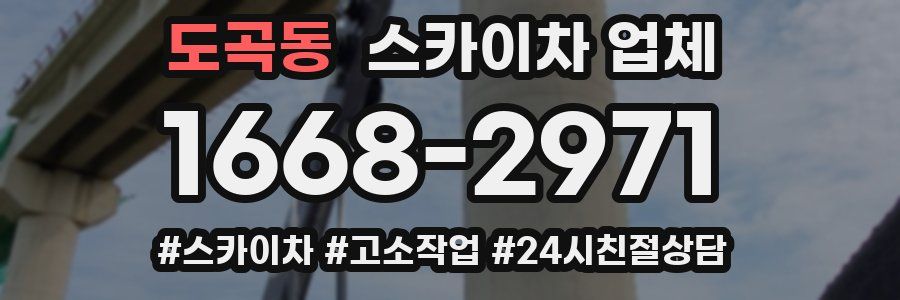 도곡동 스카이차 업체
