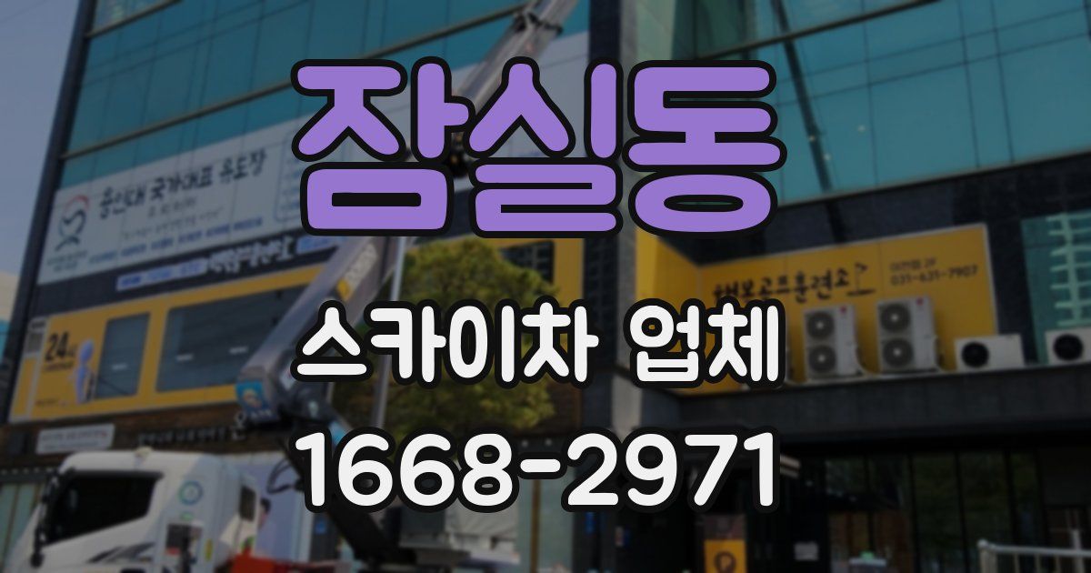 잠실동 스카이차 업체