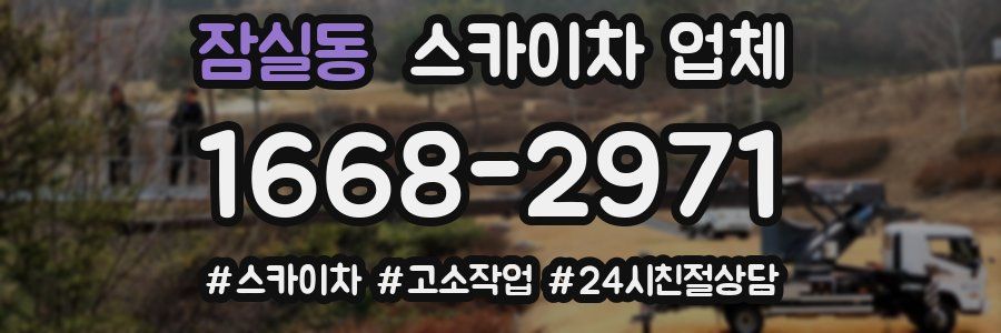 잠실동 스카이차 업체