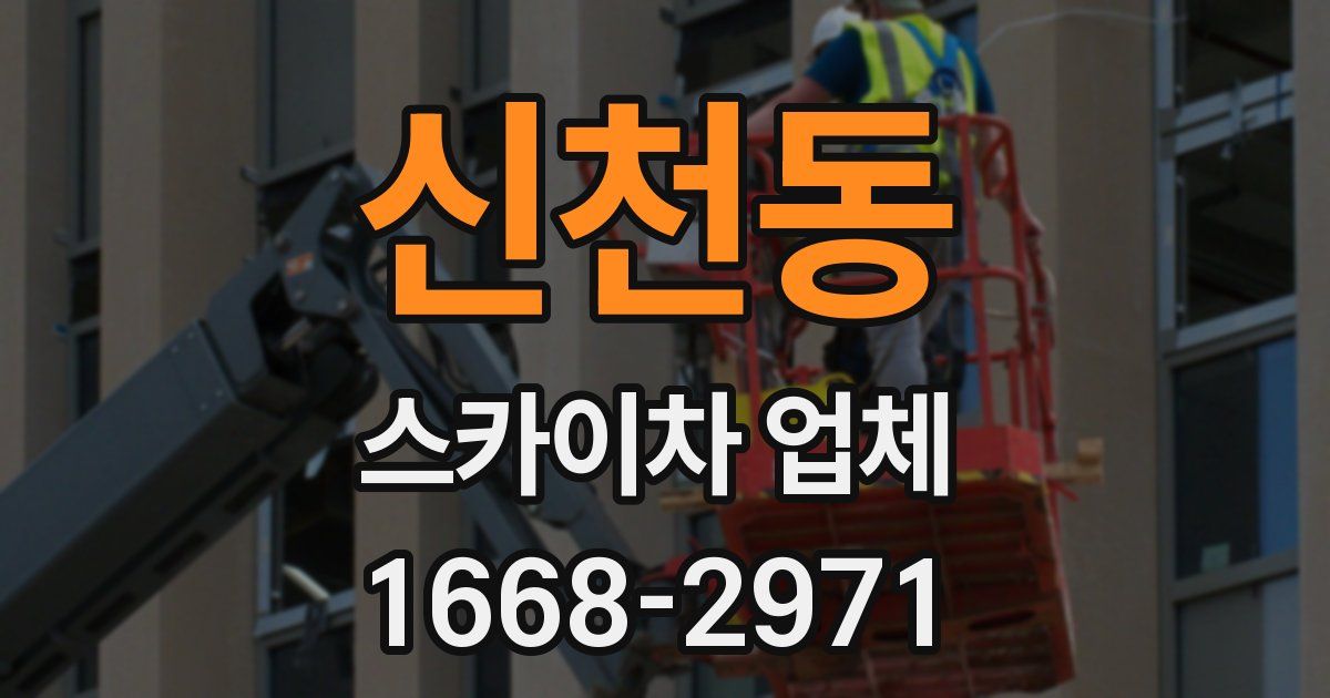 신천동 스카이차 업체