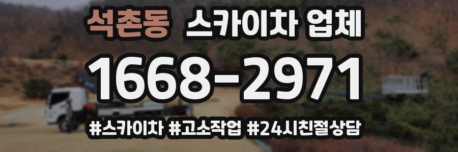 석촌동 스카이차 업체