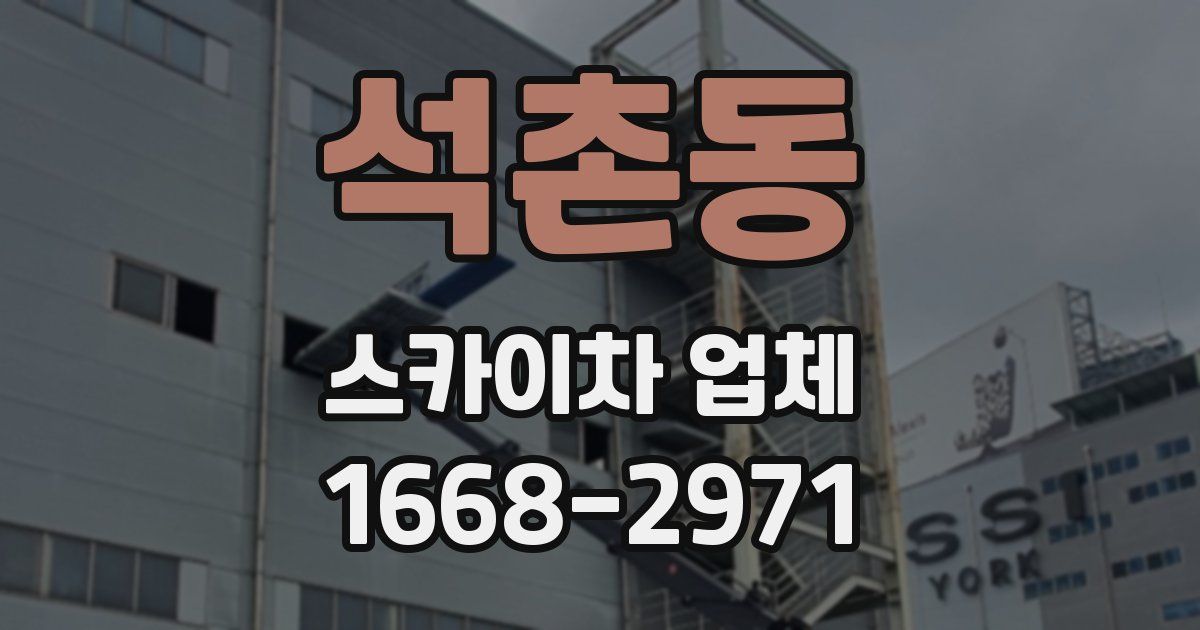 석촌동 스카이차 업체