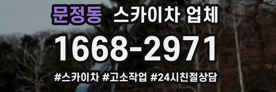 문정동 스카이차 업체