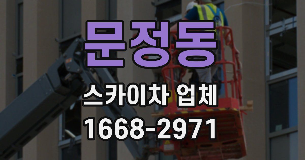 문정동 스카이차 업체