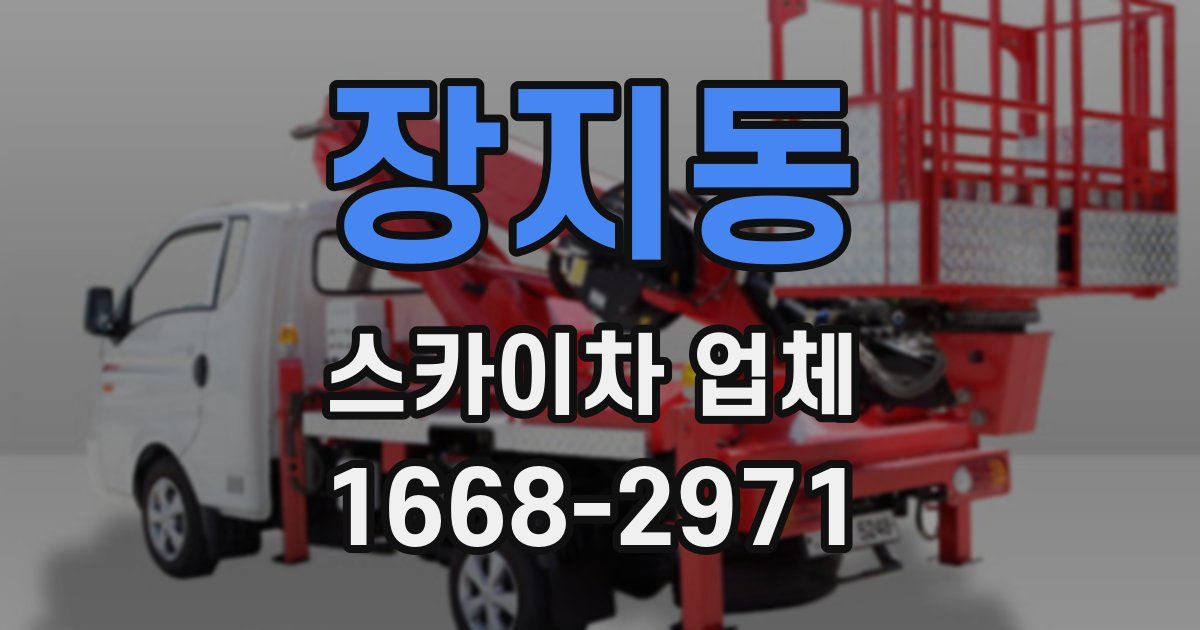 장지동 스카이차 업체