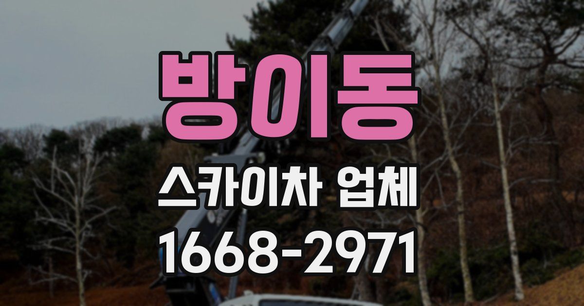 방이동 스카이차 업체
