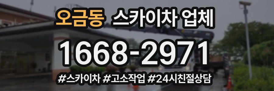 오금동 스카이차 업체