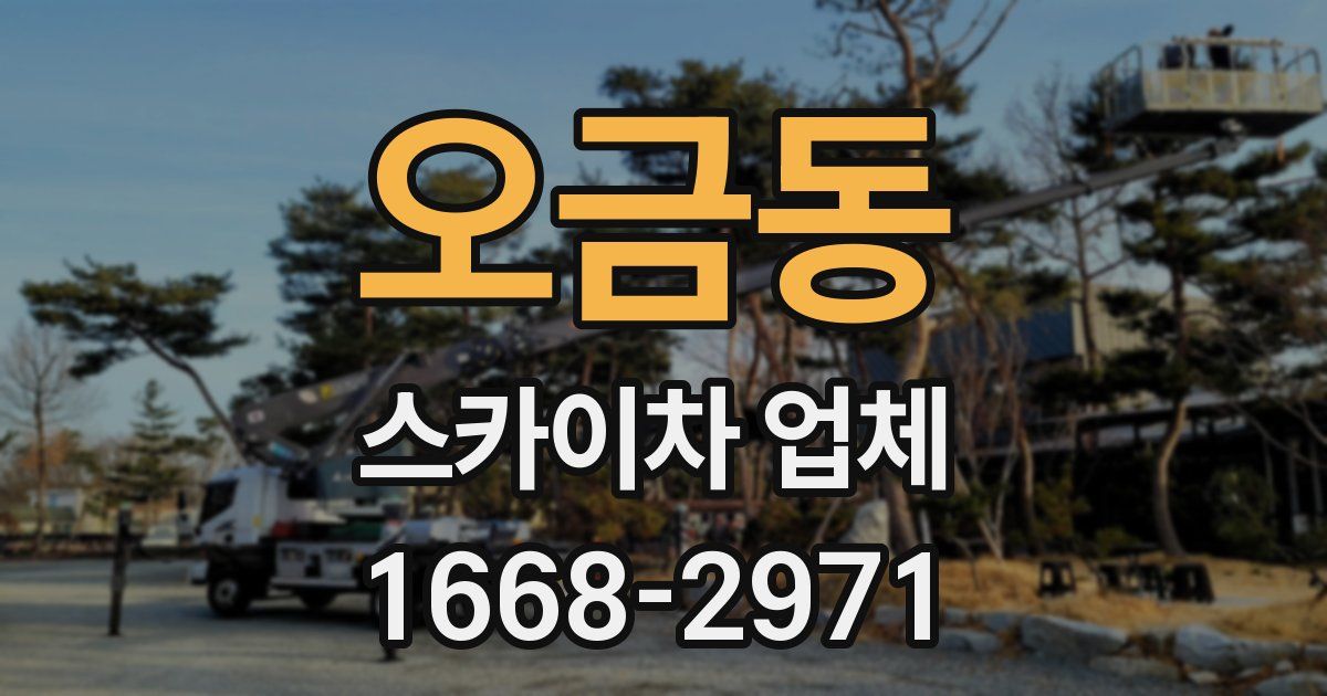 오금동 스카이차 업체
