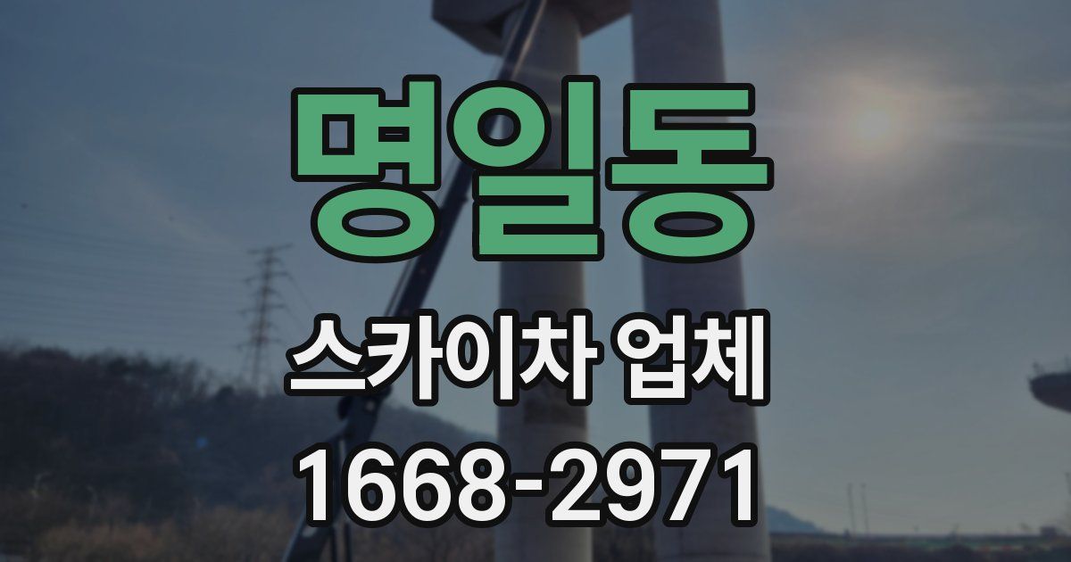명일동 스카이차 업체
