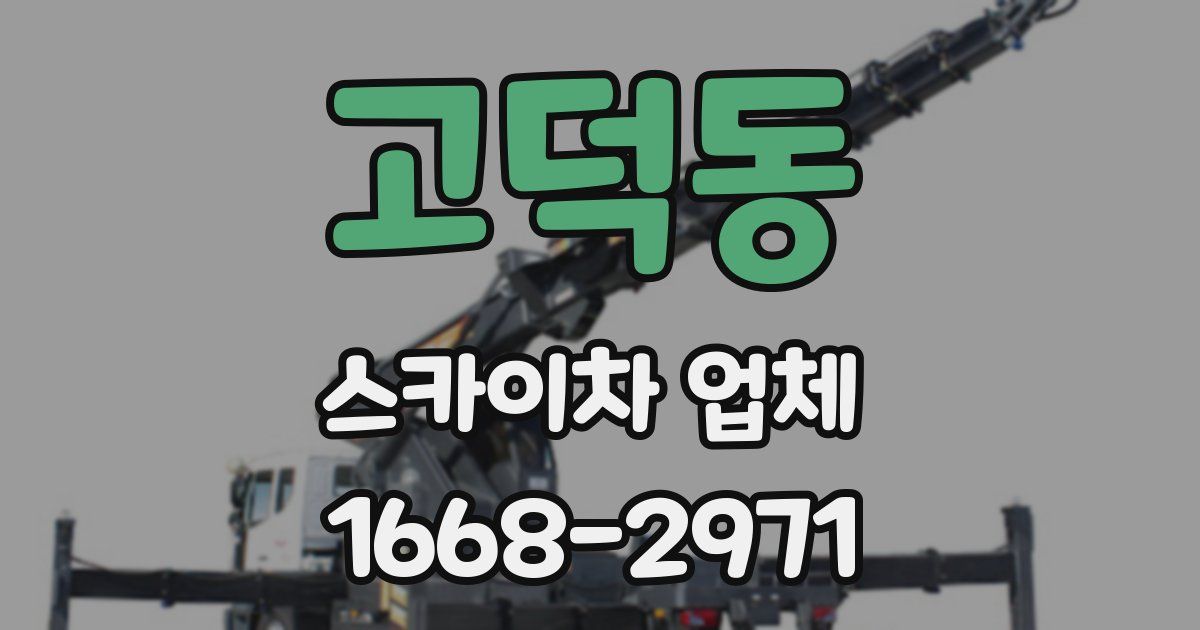고덕동 스카이차 업체