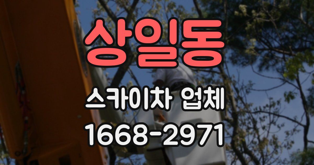 상일동 스카이차 업체