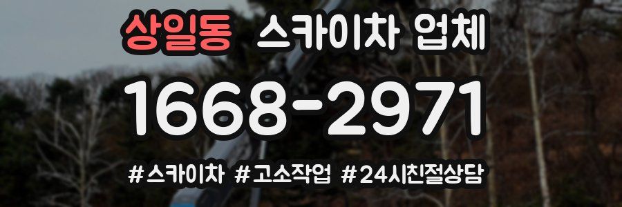 상일동 스카이차 업체