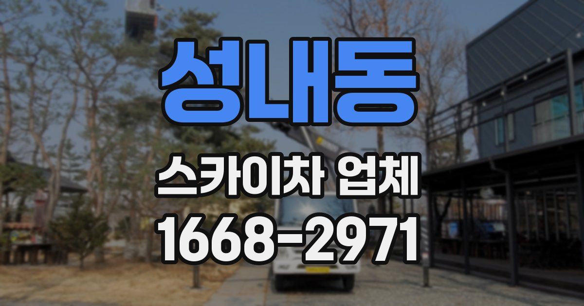 성내동 스카이차 업체