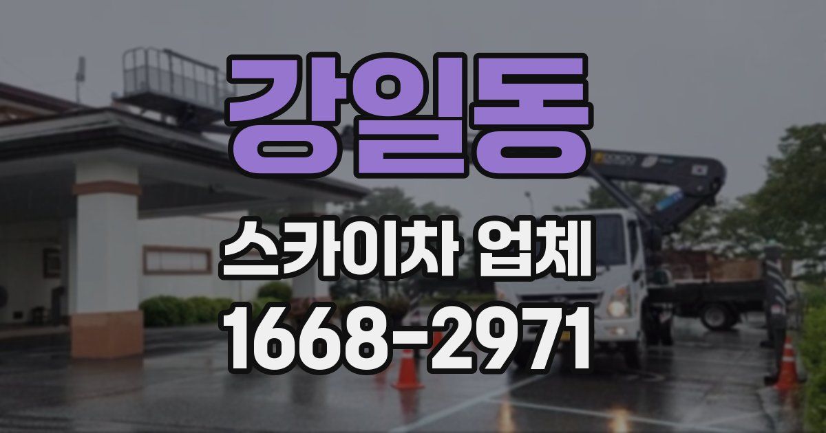 강일동 스카이차 업체