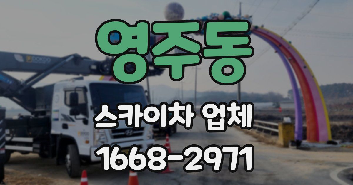 영주동 스카이차 업체