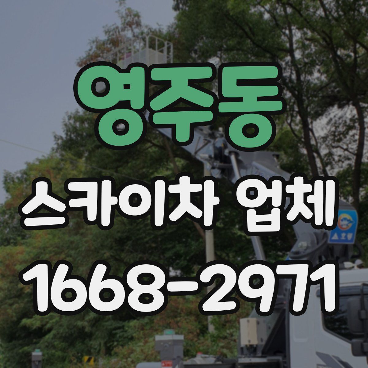 영주동 스카이차 업체
