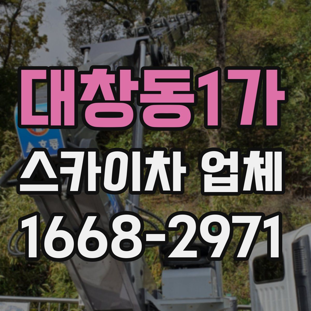 대창동1가 스카이차 업체