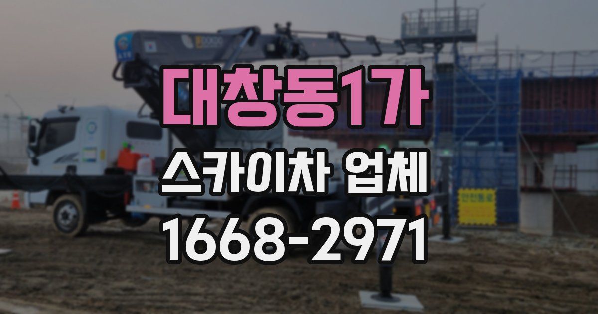 대창동1가 스카이차 업체
