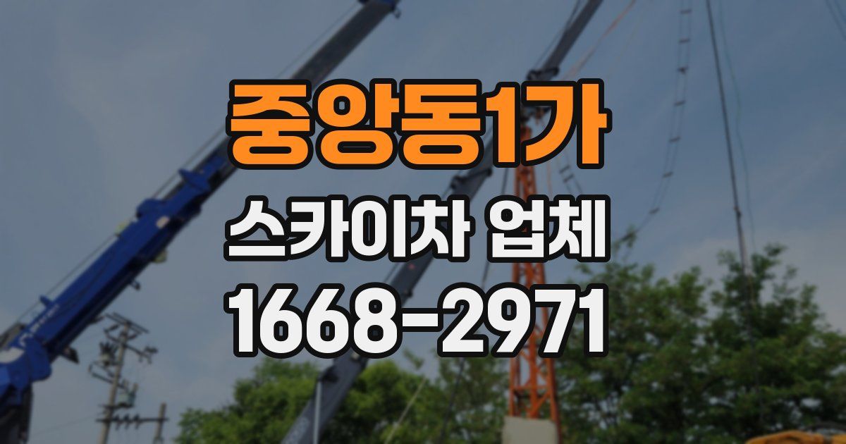 중앙동1가 스카이차 업체