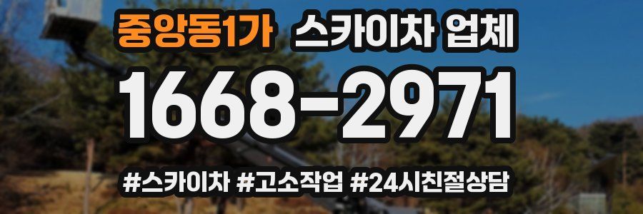 중앙동1가 스카이차 업체