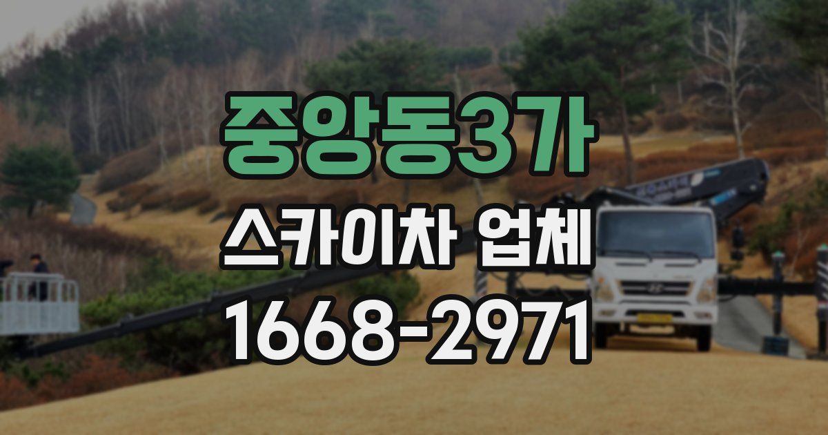 중앙동3가 스카이차 업체