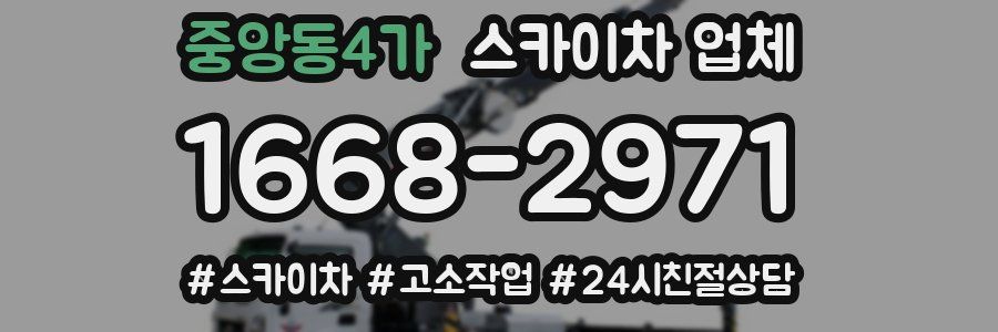 중앙동4가 스카이차 업체