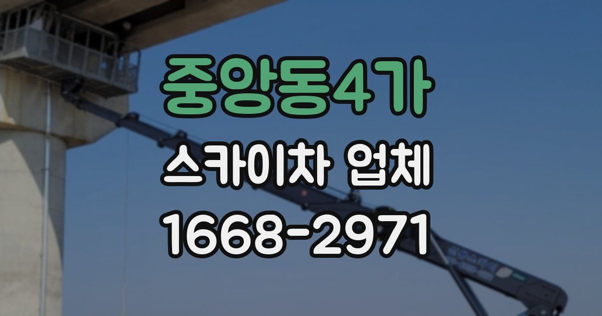 중앙동4가 스카이차 업체