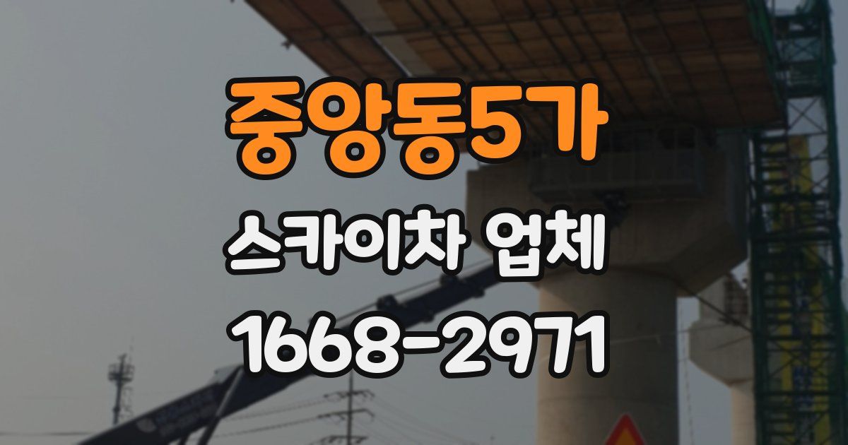 중앙동5가 스카이차 업체