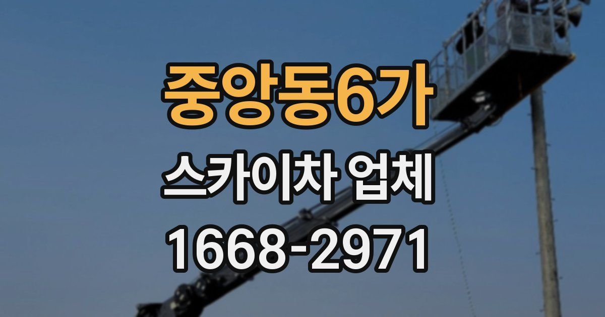 중앙동6가 스카이차 업체