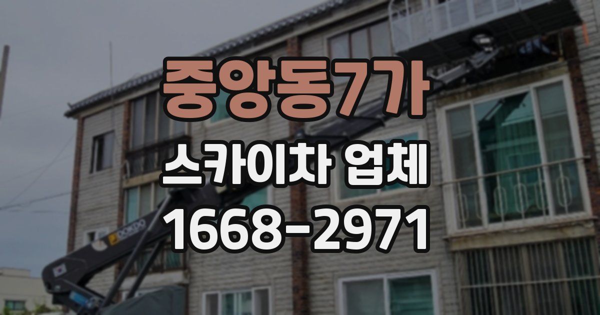 중앙동7가 스카이차 업체