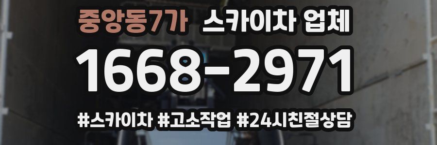 중앙동7가 스카이차 업체