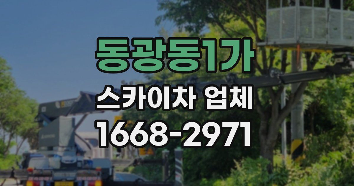 동광동1가 스카이차 업체