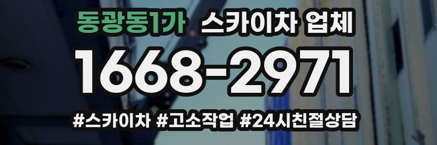 동광동1가 스카이차 업체