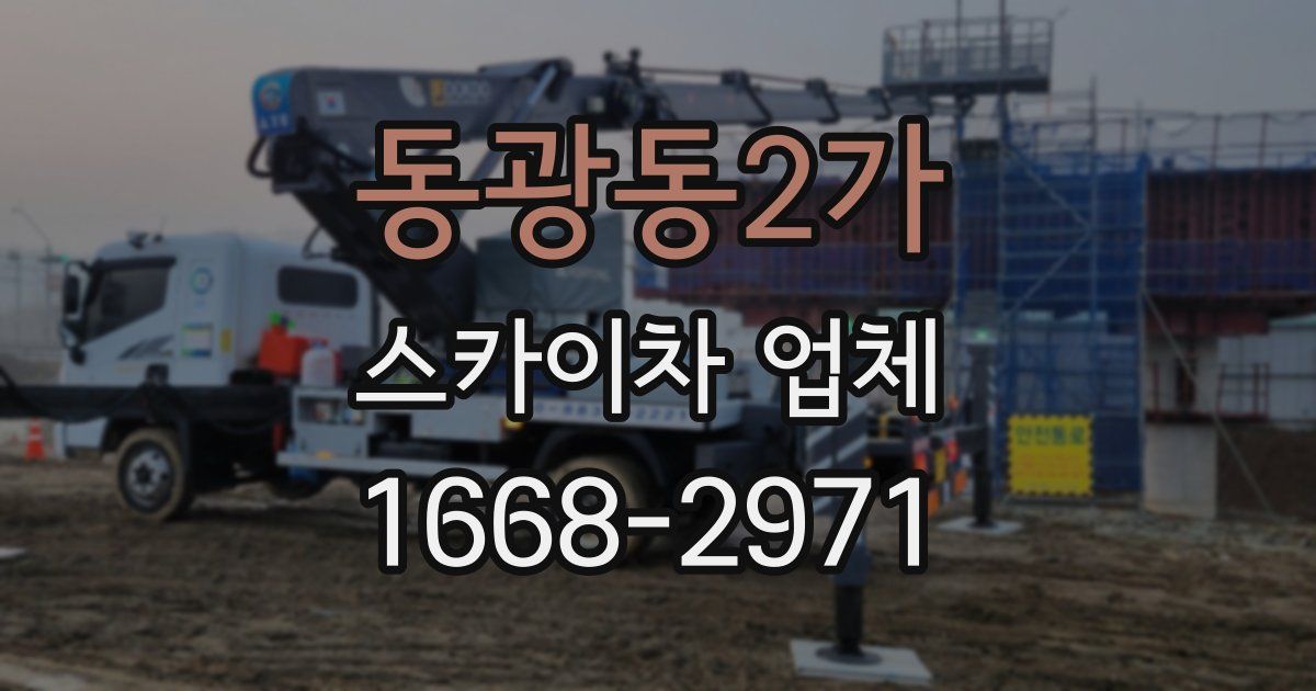 동광동2가 스카이차 업체