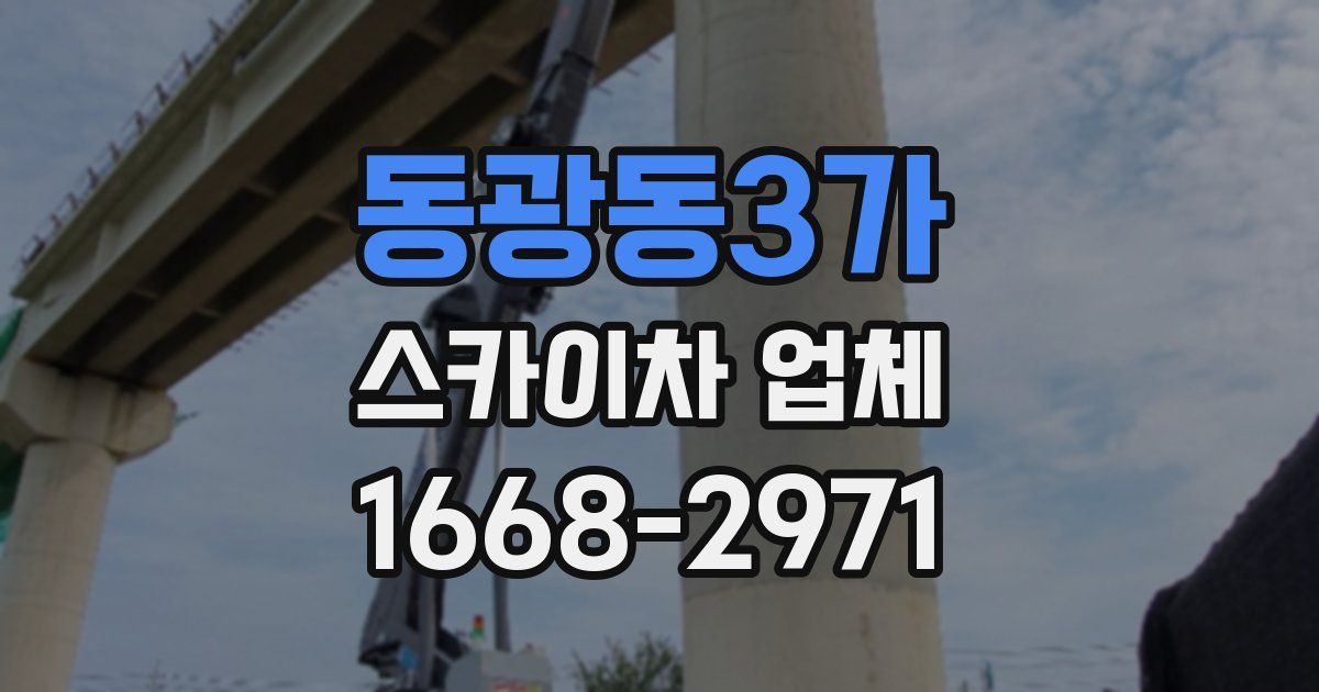 동광동3가 스카이차 업체