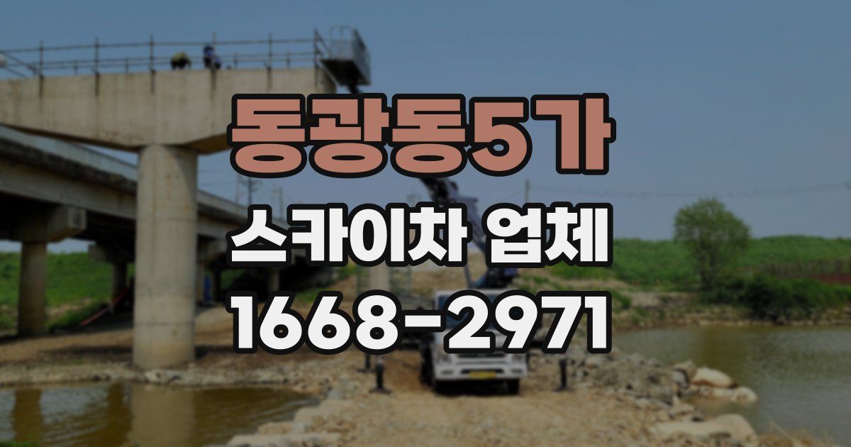 동광동5가 스카이차 업체