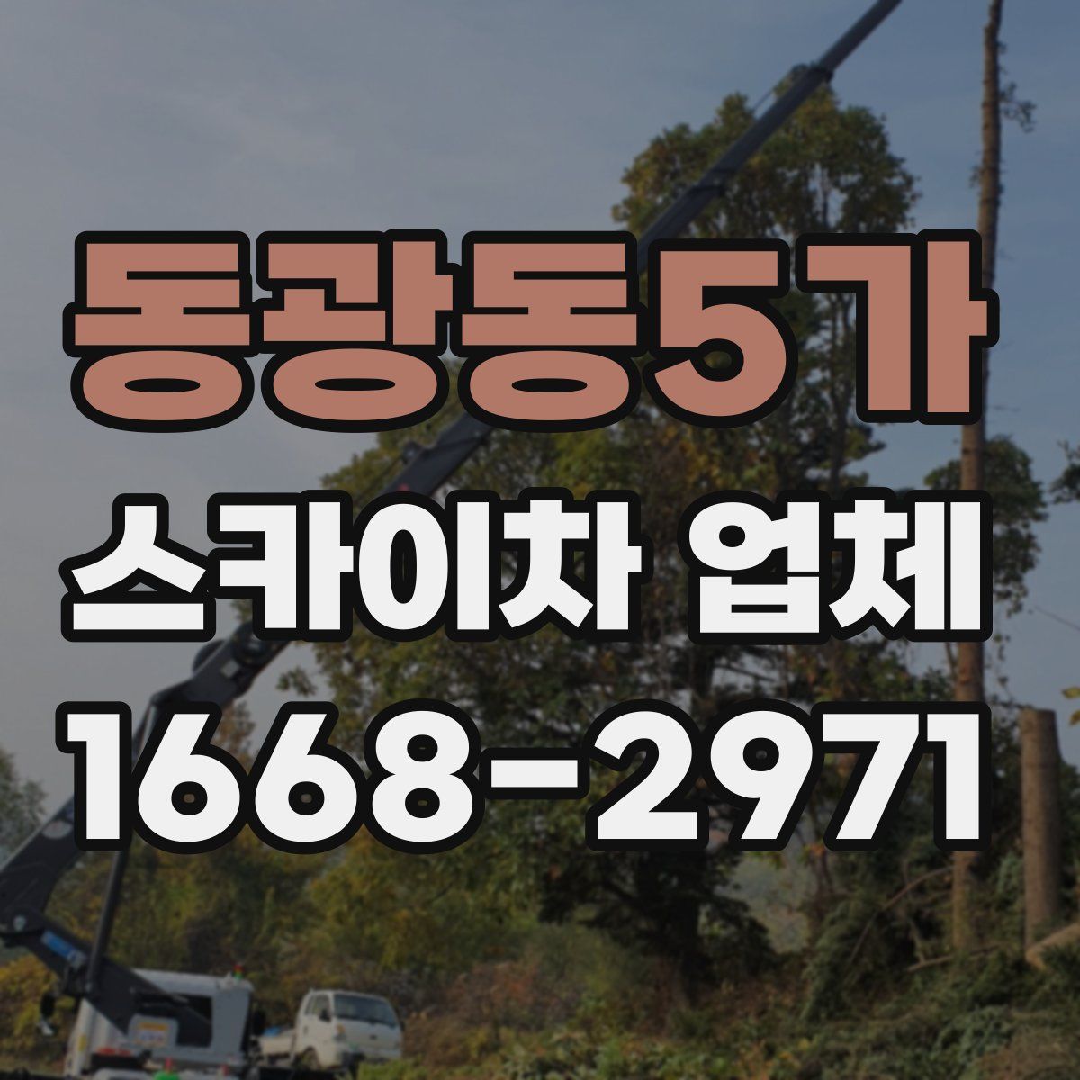 동광동5가 스카이차 업체