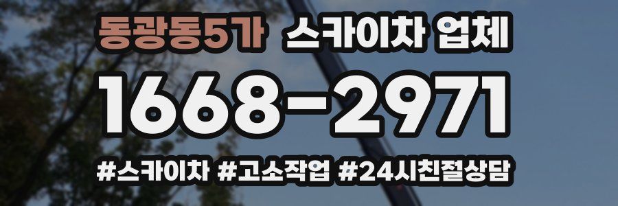동광동5가 스카이차 업체