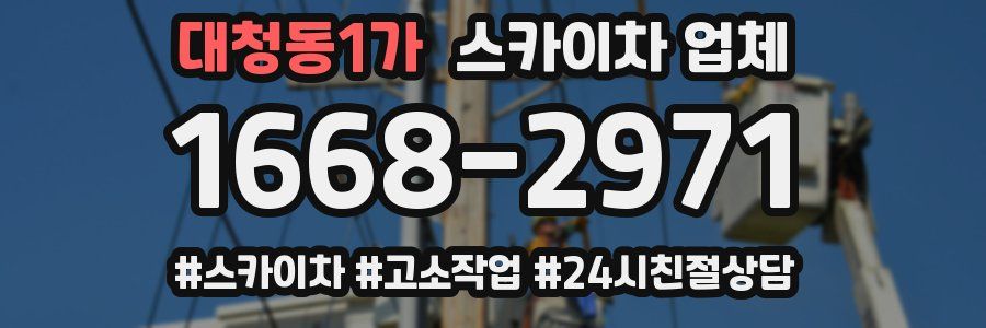 대청동1가 스카이차 업체