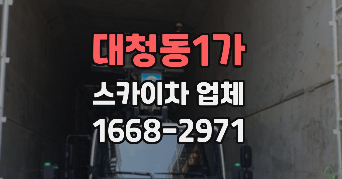 대청동1가 스카이차 업체