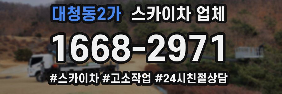 대청동2가 스카이차 업체